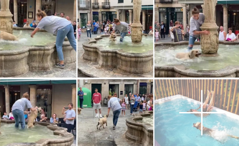 A Story About A Dog Who Happily Played In The Fountain, Causing The Crowd To Laugh