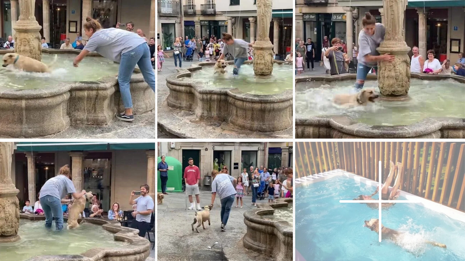 A Story About A Dog Who Happily Played In The Fountain, Causing The Crowd To Laugh