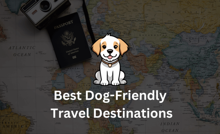 Exploring the Best Dog-Friendly Travel Destinations: A Comprehensive Guide