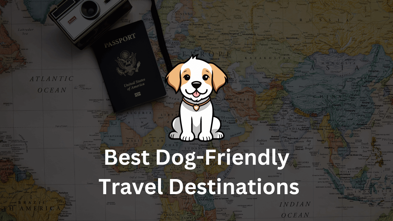 Exploring the Best Dog-Friendly Travel Destinations: A Comprehensive Guide