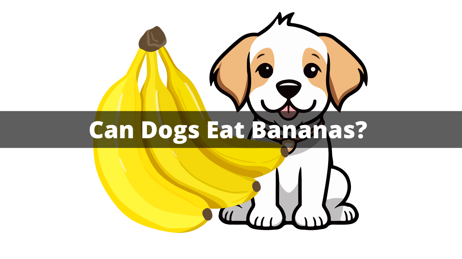 Can Dogs Eat Bananas: A Comprehensive Guide!