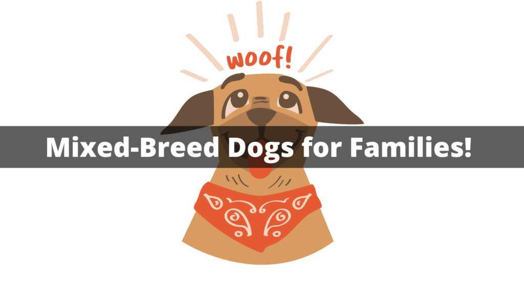 Mixed-Breed Dogs for Families!