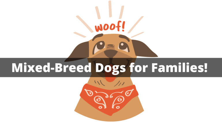 Embracing Diversity: Mixed-Breed Dogs for Families!