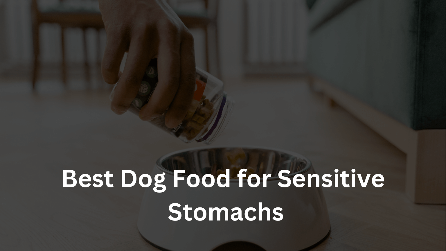 Finding the Perfect Meal: Unraveling the Mystery of the Best Dog Food for Sensitive Stomachs
